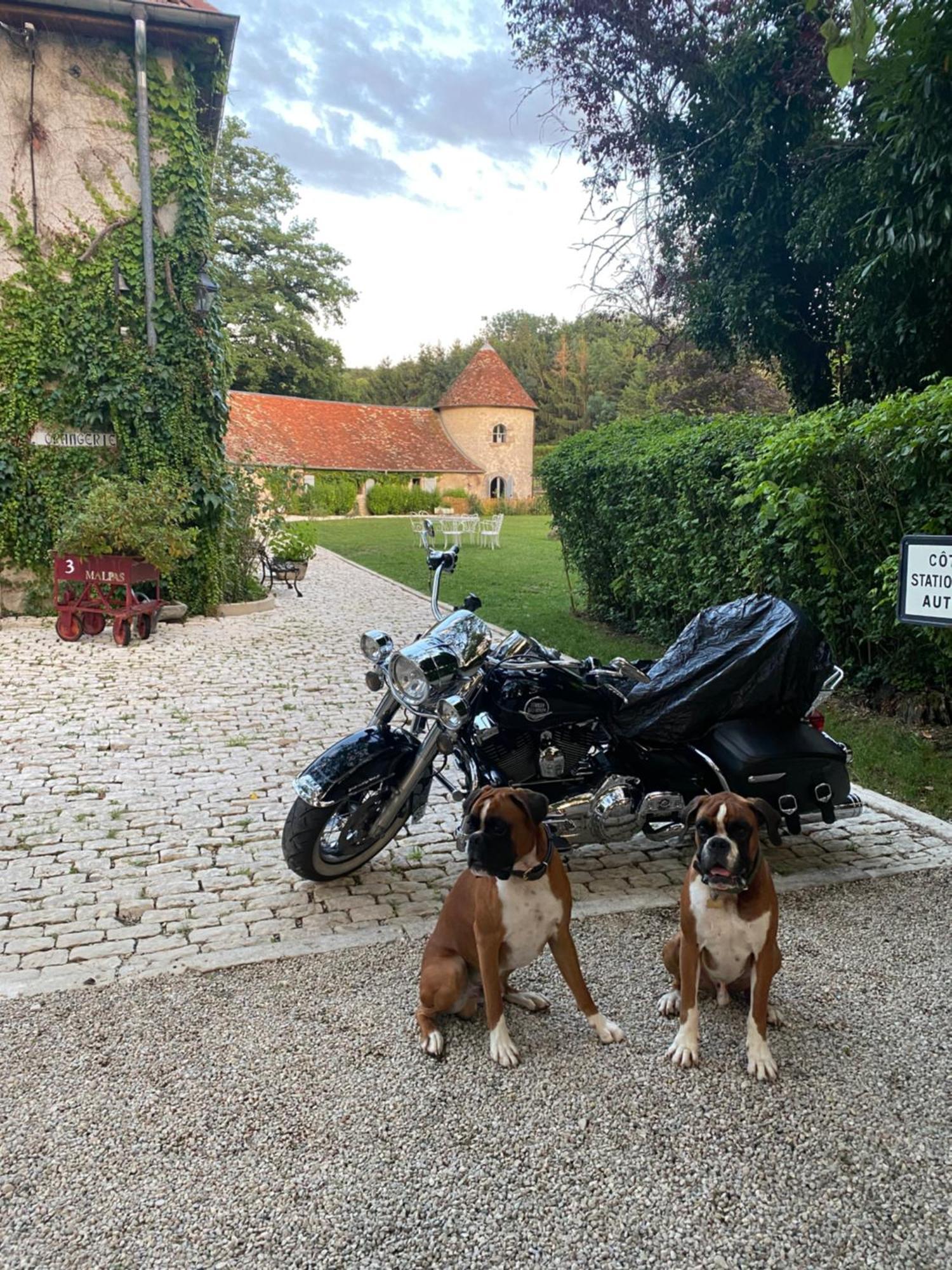 Le Colombier De Malpas Bed & Breakfast Quingey Exterior photo